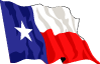 Texas Vector Flag
