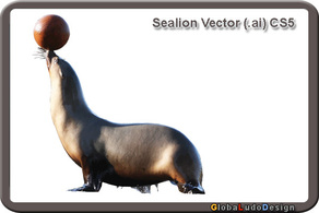 1. Sea Lion Vector