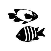 Aquarium Fish Vectors
