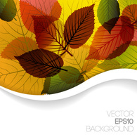 Autumn Backgrounds Vector Graphic