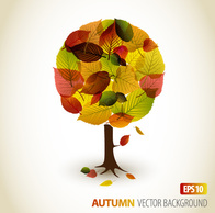 Autumn Tree Leafs