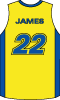 Basketball Jersey Number 22 Vector