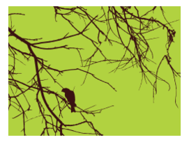 Bird Branches