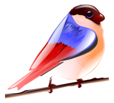 Bird - icon