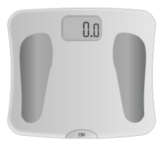 Body scale