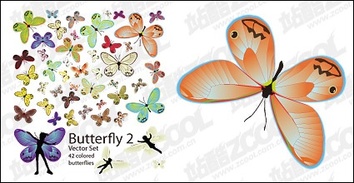 Butterfly vector of the material