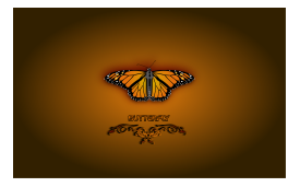 Butterfly (Wallpaper)