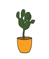 Cactus - Plants 001