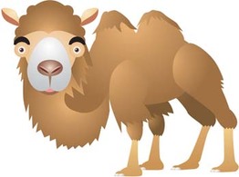 Camel Vector 12