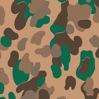 Camouflage Pattern 1