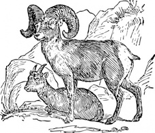 Cartoon Big Sheep Horn Automatic Johnny Bighorn