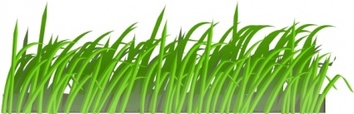 Cartoon Grass Plant Garden Lawn Texture Gras