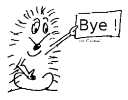 Cartoon hedgehog with a bye board