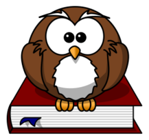Cartoon owl sitting on a book