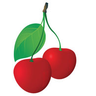 Cherries Vector Graphic