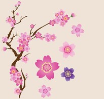 Cherry Blossoms Vector