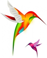 Colibri Birds clip art