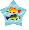 Colorful Fish Free Vector