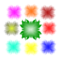 ColorFull Flower