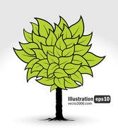 Coolest Illustration Green Tree and Clear