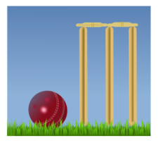 Cricket Illustration