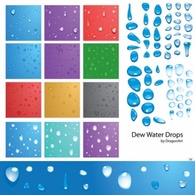 Dew Water Drops Vector