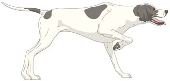 Dog collection vector 2