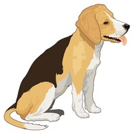 Dog collection vector 4