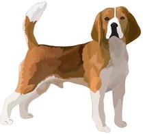 Dog collection vector 7