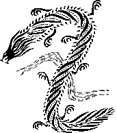 Dragon chinese style black & white