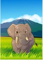Elephant 11
