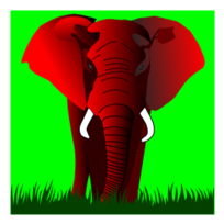 Elephant red on green
