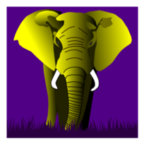 Elephant Yellow On Purple
