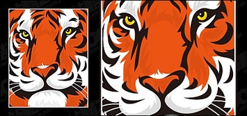 eps format, keyword: vector material, vector animals, tigers, Featured
