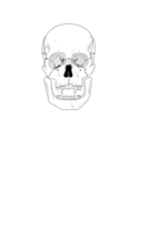 Evil Skull