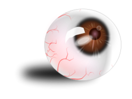 Eyeball brown_bloodshot