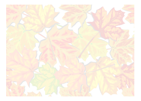 Fall Leaves, Faded