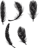 Feather Vectors