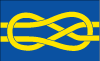 Fiav Vector Flag