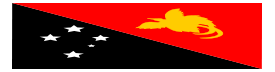 Flag of Papaua New Guinea