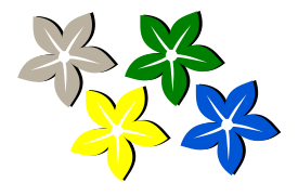 Flower - Flor