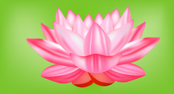 Flower Vector - Lotus Flower