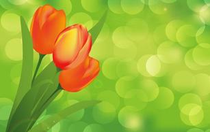 Flower with Green Background Vector Art