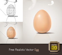 Free Realistic Vector Egg