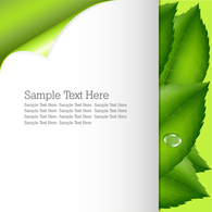 Free template greenery and nature vector