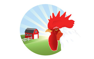 Free Vector Rooster