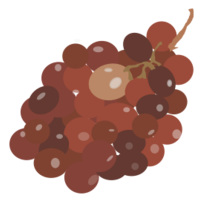 Grape Red