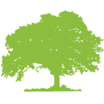 Green Tree Silhouette Vector Image