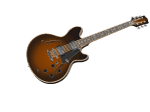 Guitar Photorealistic Vector Image