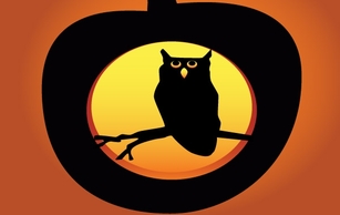 Halloween Owl Pumpkin